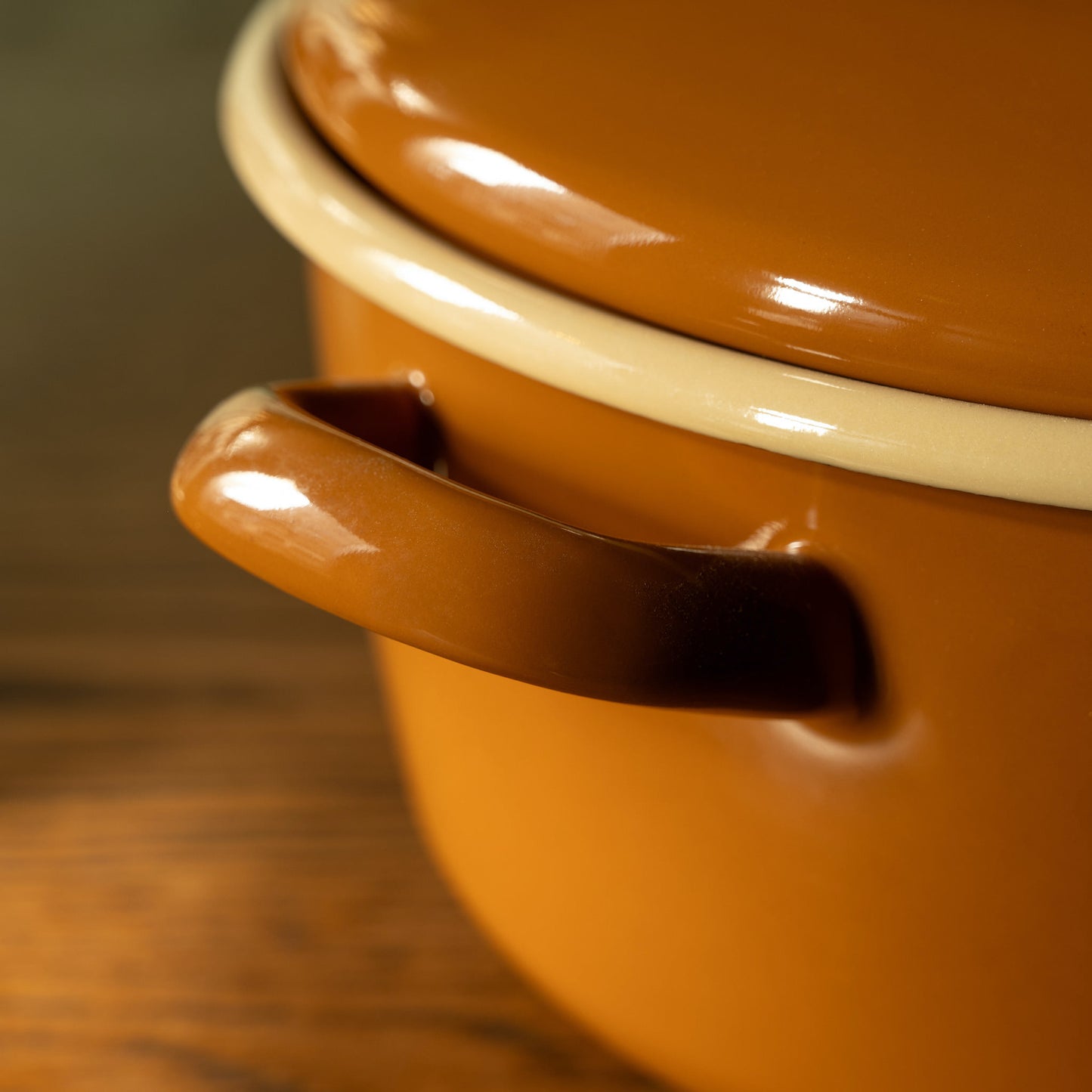 Enamel Round Lidded Pot close up of handles and lid