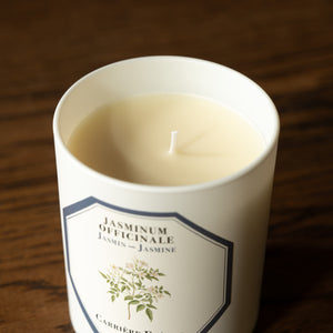 Carriere Freres Jasmine Candle wax & wick