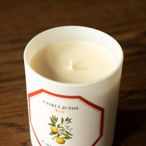Carriere Freres Yuzu Candle wax & wick
