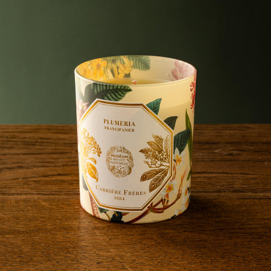 Carrière Frères x The Museum Frangipani scented candle.