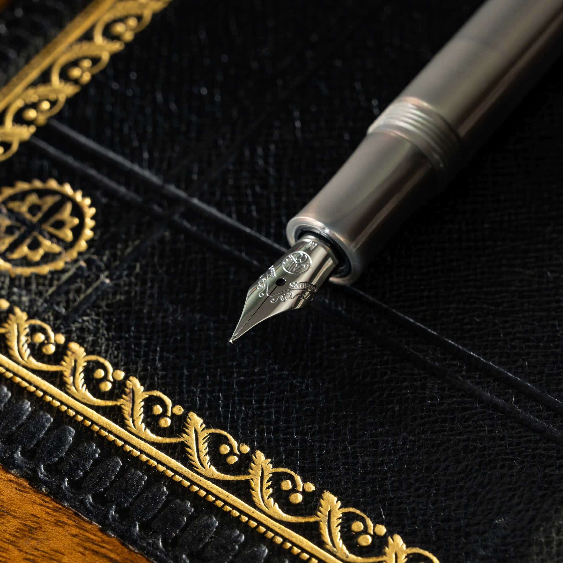 Kaweco LUNAR Sport fountain pen nib close up