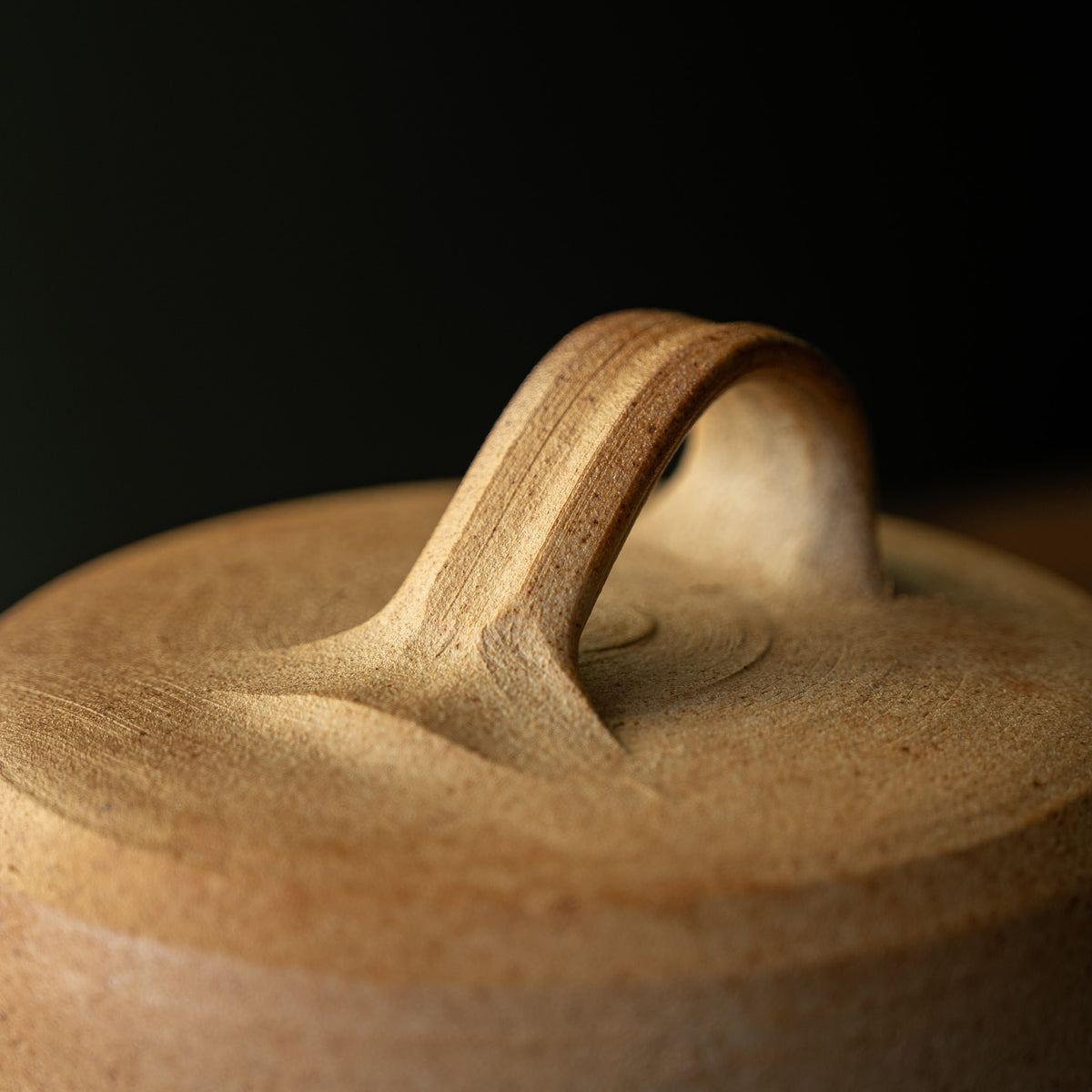 Close-up of Muchelney Pottery   lidded butter dish curved handle.