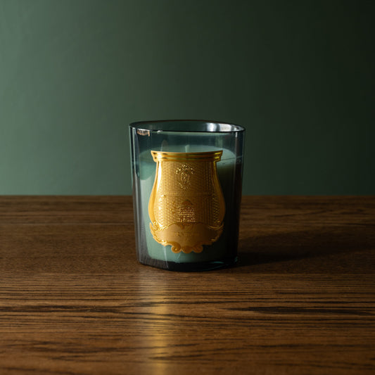 Trudon Figuerie candle housed in celadon glass with gold design on a wooden surface and dark green background