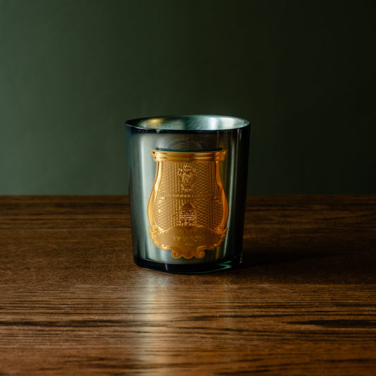 Trudon limited edition La Nuit des Glaces Fir scented 270g candle. Housed in a celadon mirror finish glass jar with the Trudon ornate gold crest label, sitting on a dark wooden table against a dark green background.