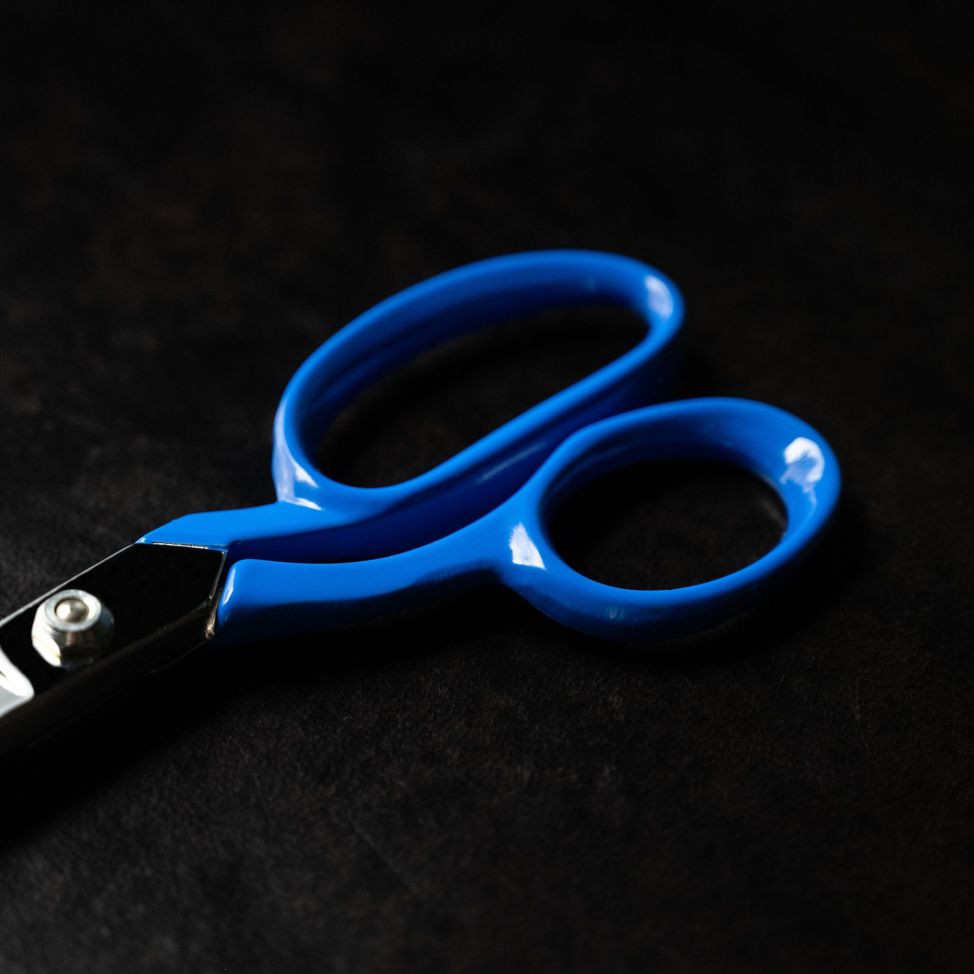 William Whitley DIY scissors hand painted blue handles.